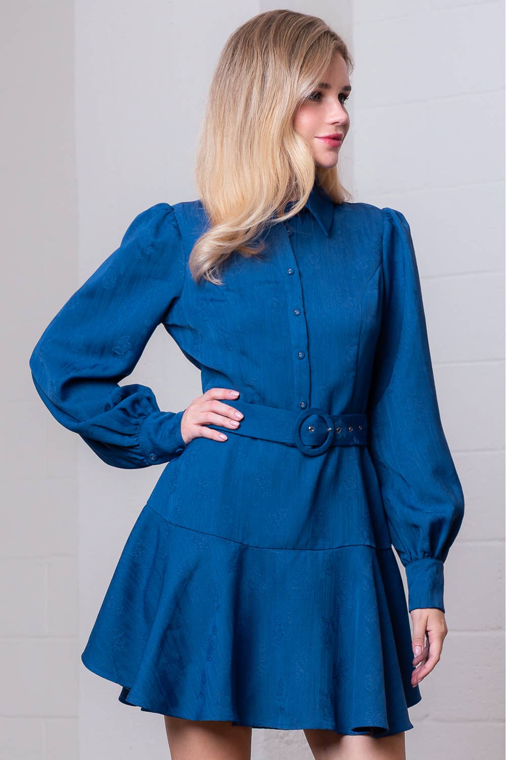 Button Up Fit and Flare Mini Dress