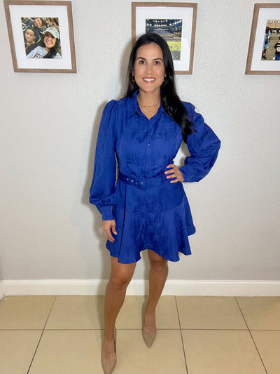 Button Up Fit and Flare Mini Dress- OS