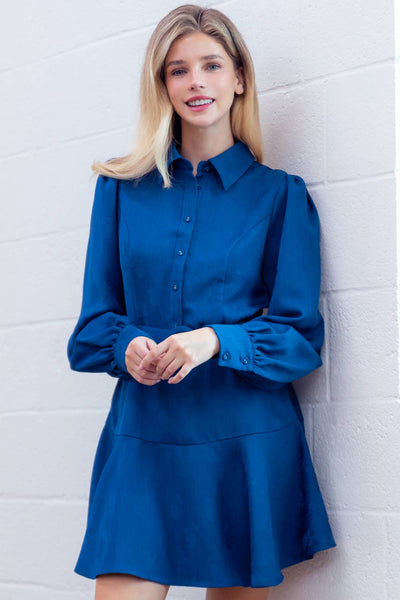 Button Up Fit and Flare Mini Dress