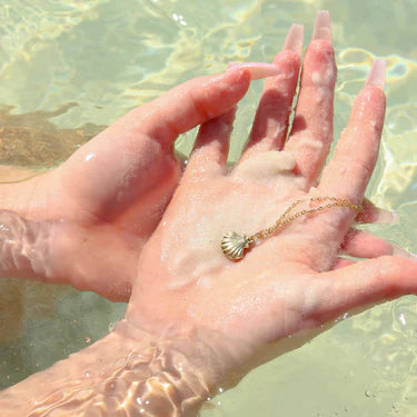 Clam Shell Charm Necklace
