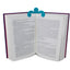 The Little Book Holder