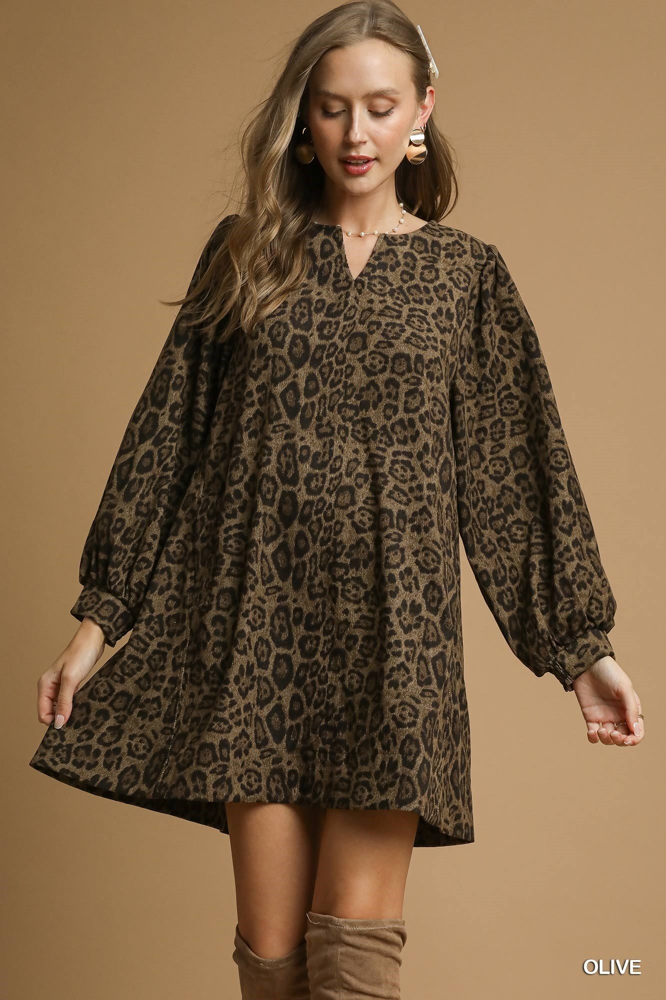 Leopard Print Long Sleeve Swing Dress