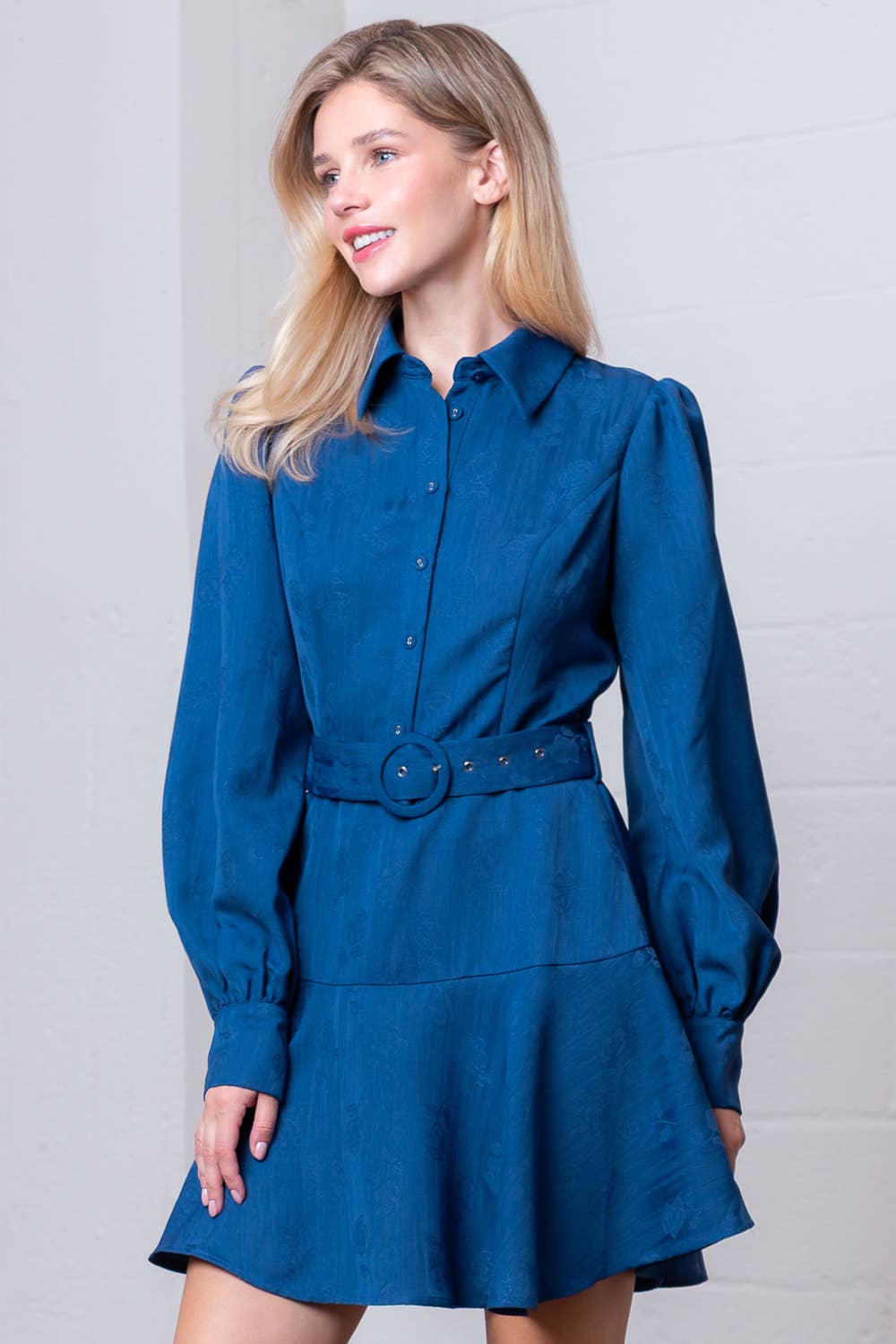 Button Up Fit and Flare Mini Dress