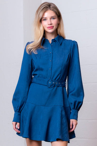 Button Up Fit and Flare Mini Dress