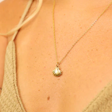 Clam Shell Charm Necklace